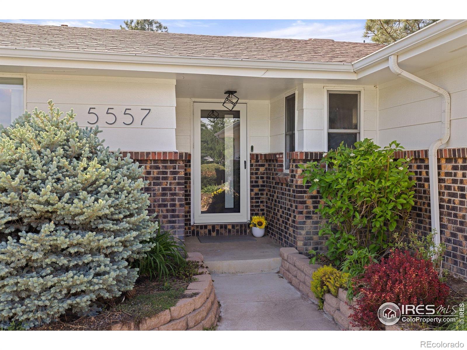 MLS Image #4 for 5557  aspen avenue,erie, Colorado