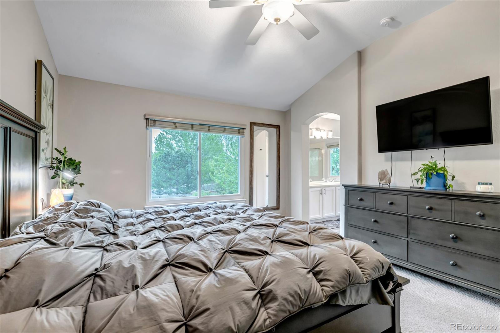 MLS Image #27 for 12430 s downy creek court,parker, Colorado