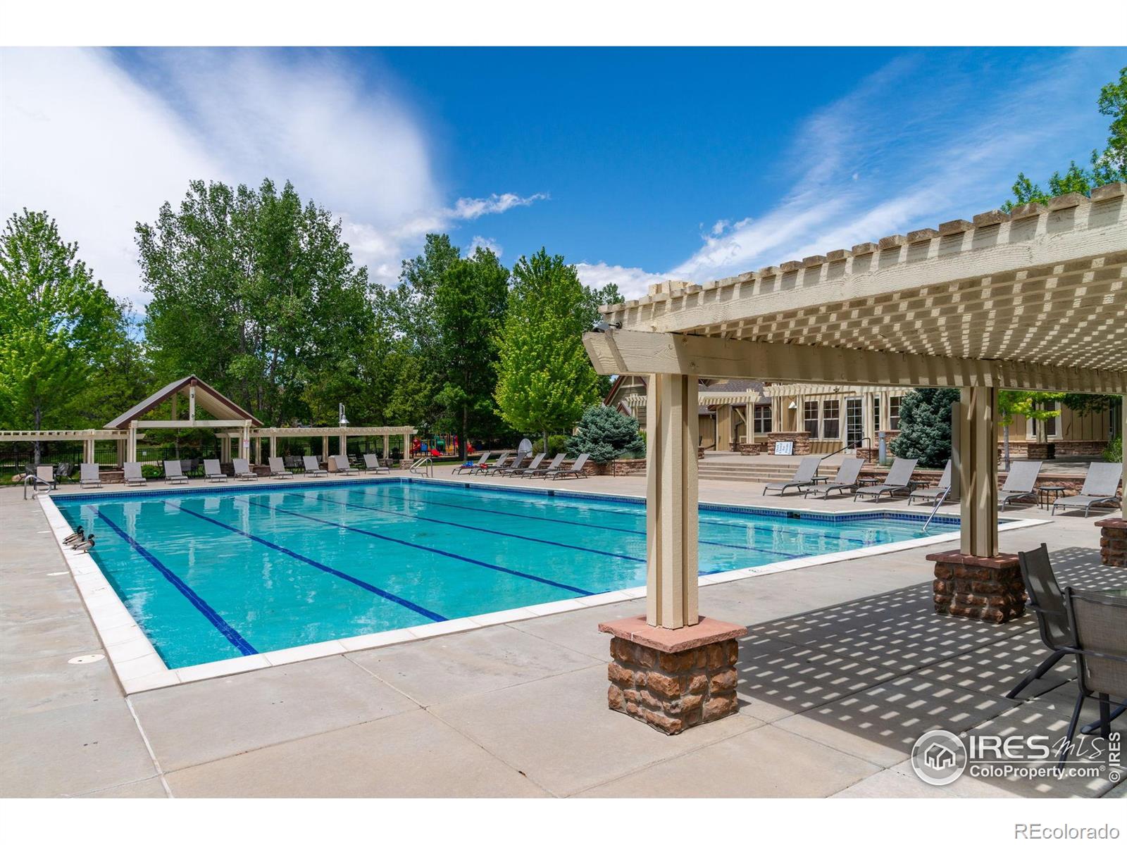 MLS Image #32 for 14300  waterside lane,broomfield, Colorado