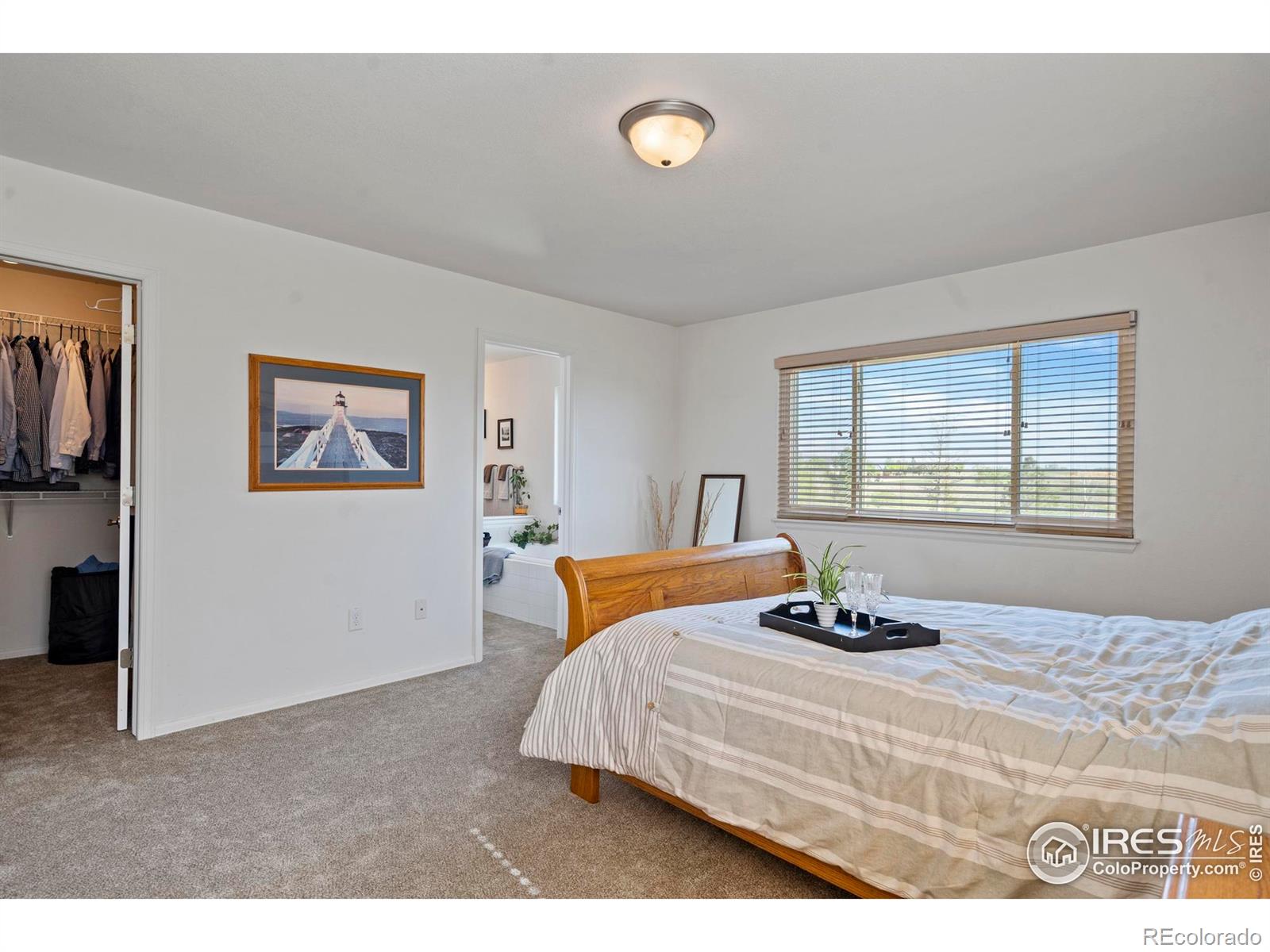 MLS Image #25 for 2438  ballard lane,fort collins, Colorado