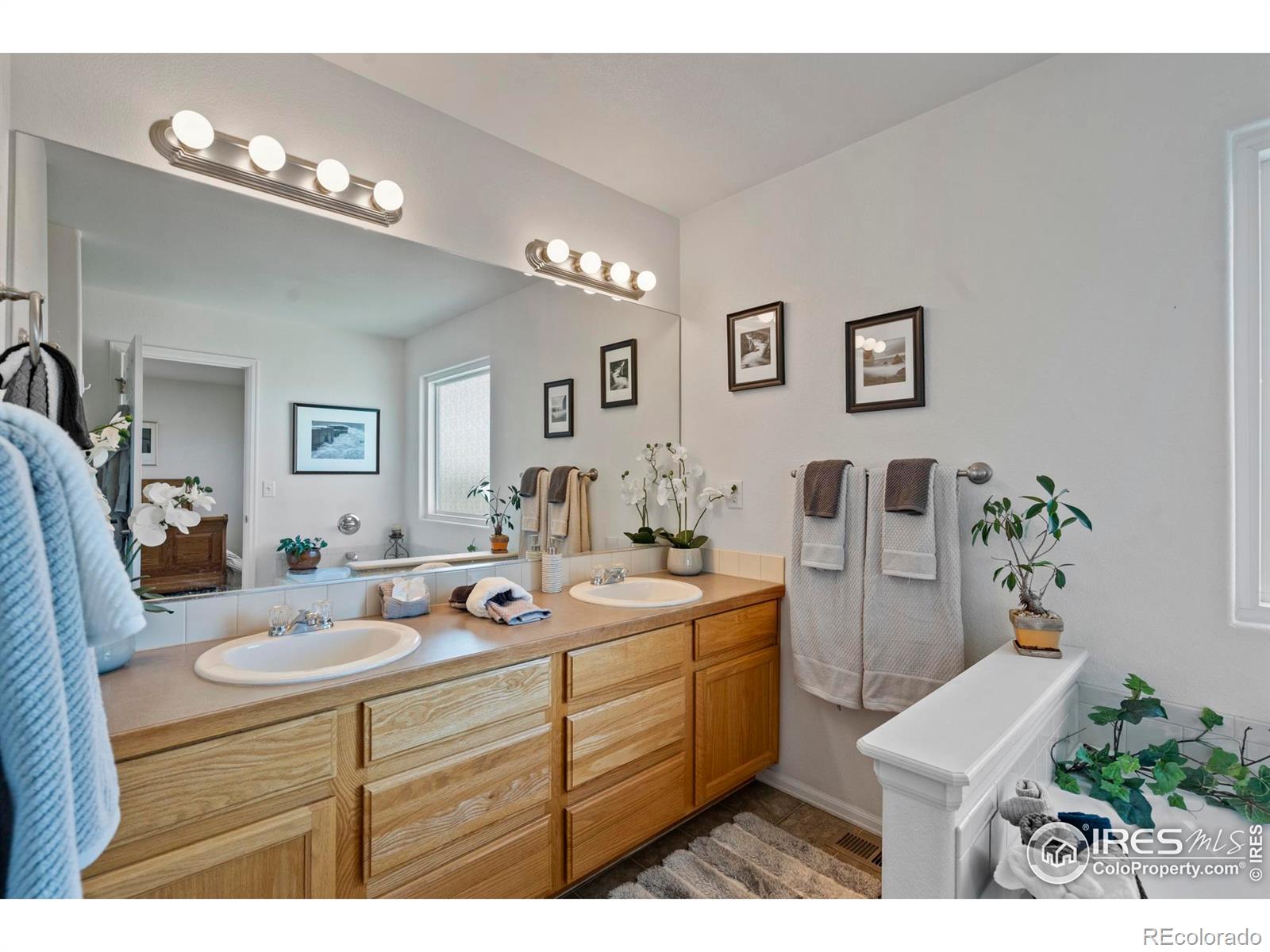 MLS Image #27 for 2438  ballard lane,fort collins, Colorado