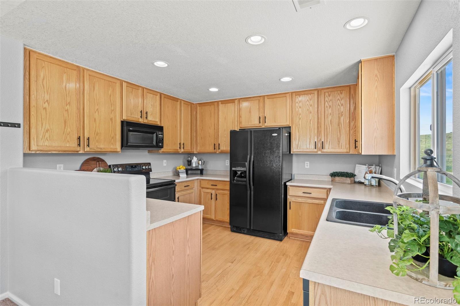 MLS Image #13 for 9721  marmot ridge circle,littleton, Colorado