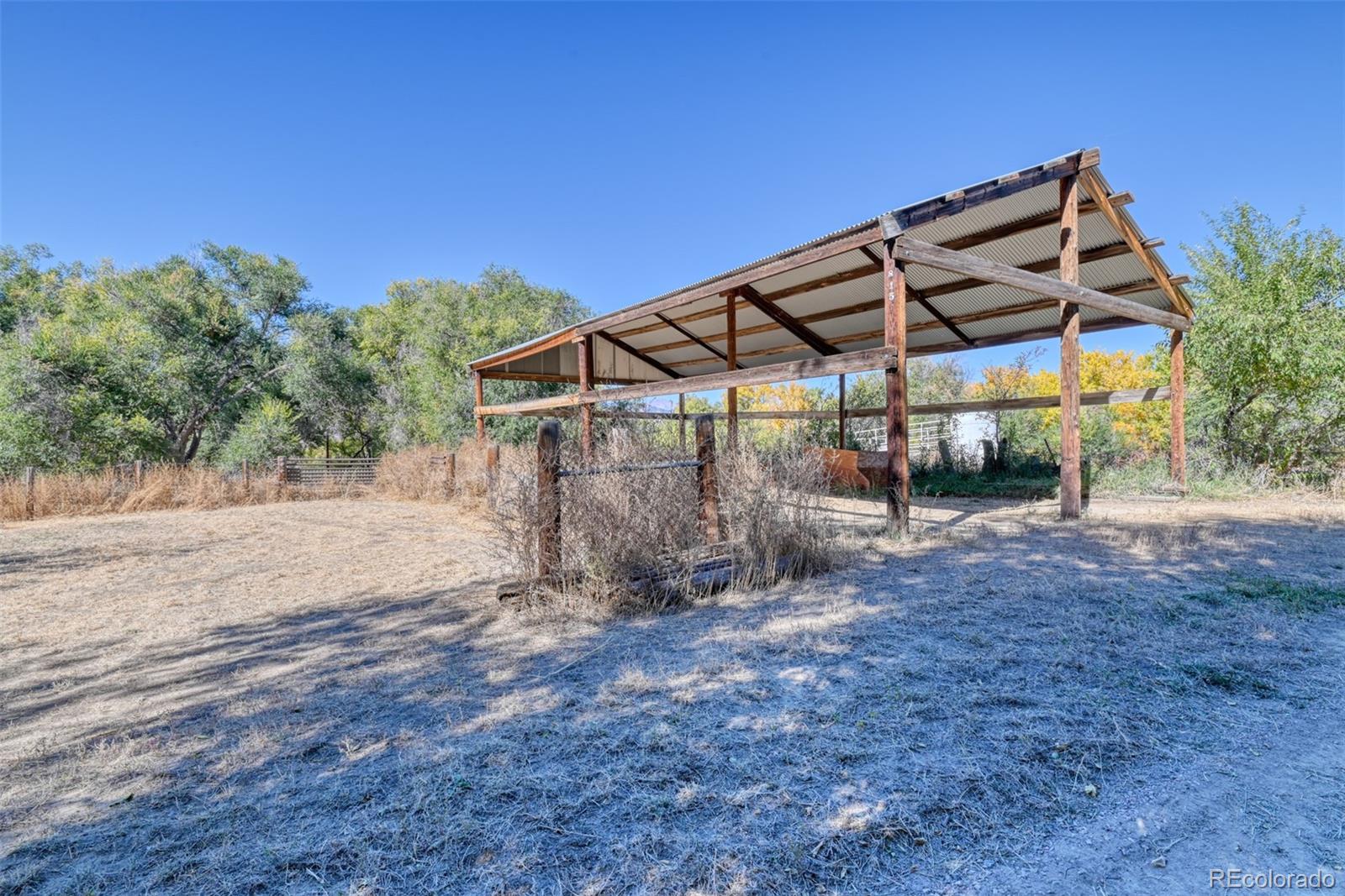 MLS Image #14 for 900  pond terrace,fountain, Colorado