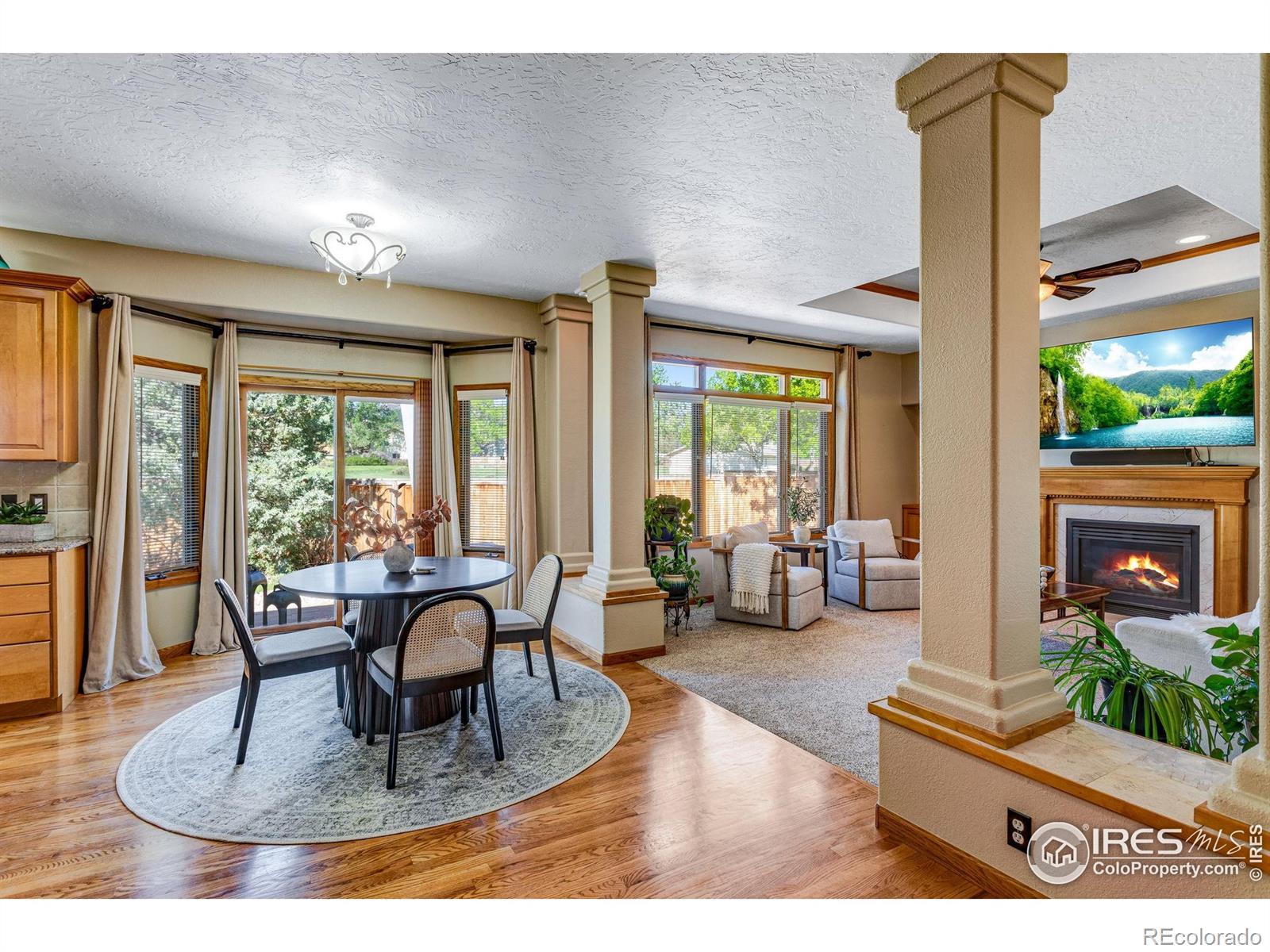 MLS Image #12 for 2613  fox run court,fort collins, Colorado