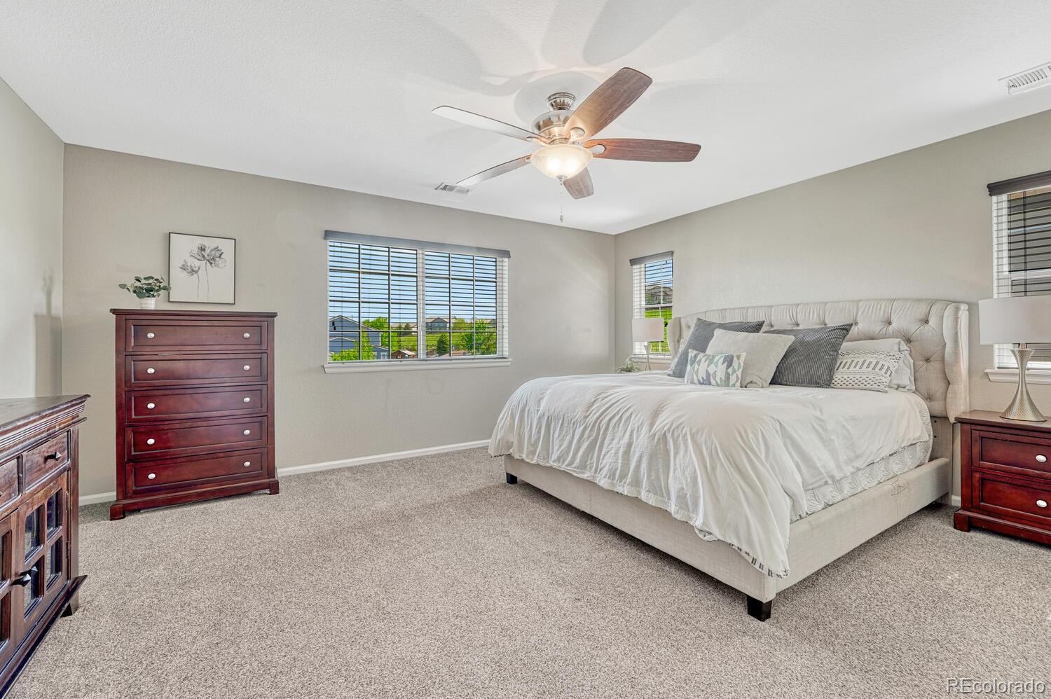 MLS Image #31 for 6738  esmeralda drive,castle rock, Colorado