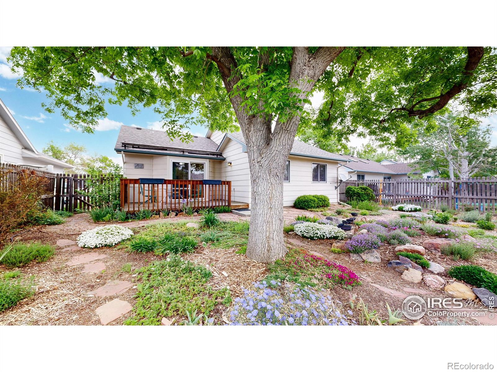 Report Image for 976 S Edinburgh Drive,Loveland, Colorado