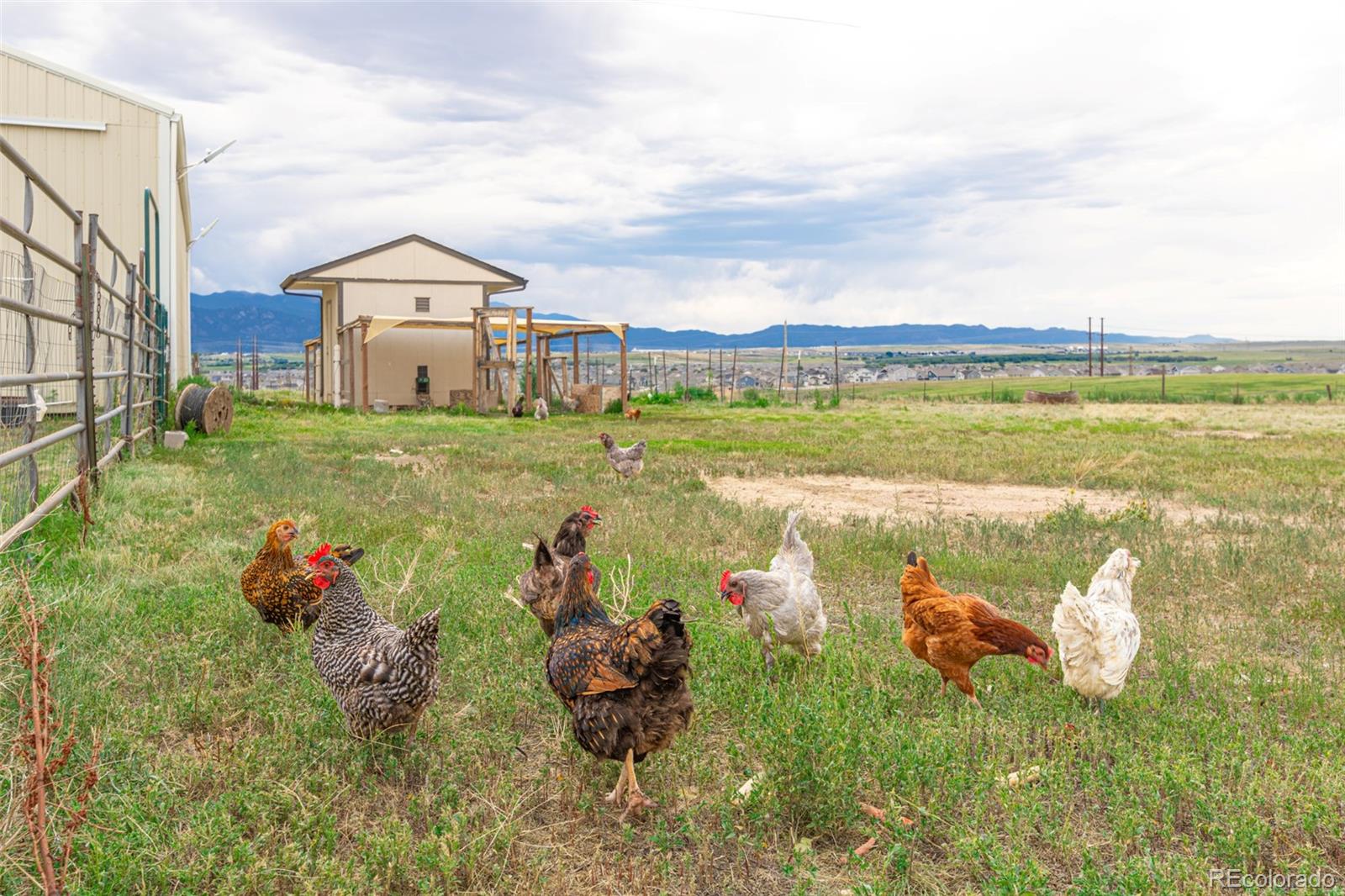 MLS Image #34 for 11170  peaceful valley road,colorado springs, Colorado