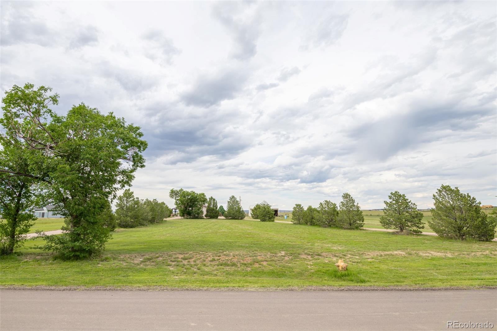 MLS Image #42 for 11170  peaceful valley road,colorado springs, Colorado