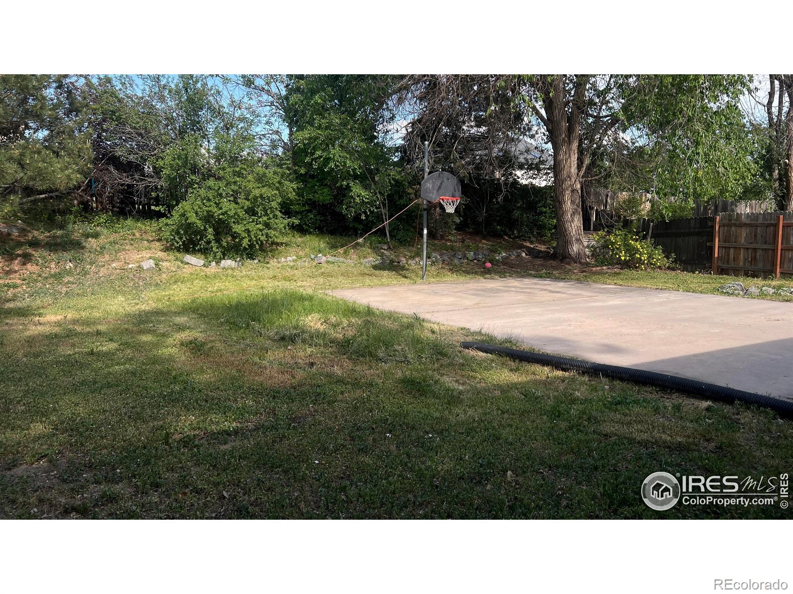MLS Image #3 for 12820  dexter street,thornton, Colorado