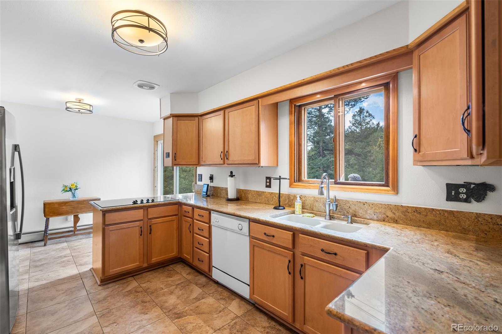 MLS Image #13 for 11608  apache trail,conifer, Colorado