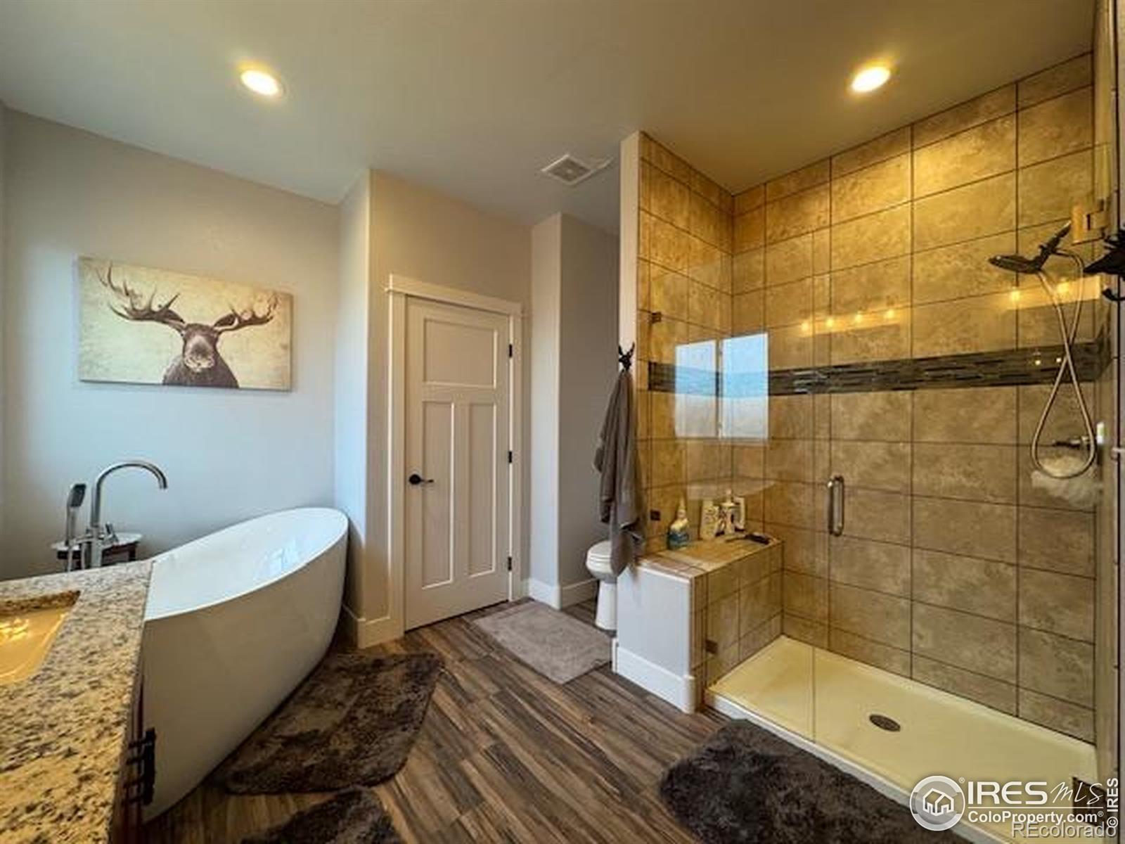 MLS Image #21 for 548  g street,walden, Colorado