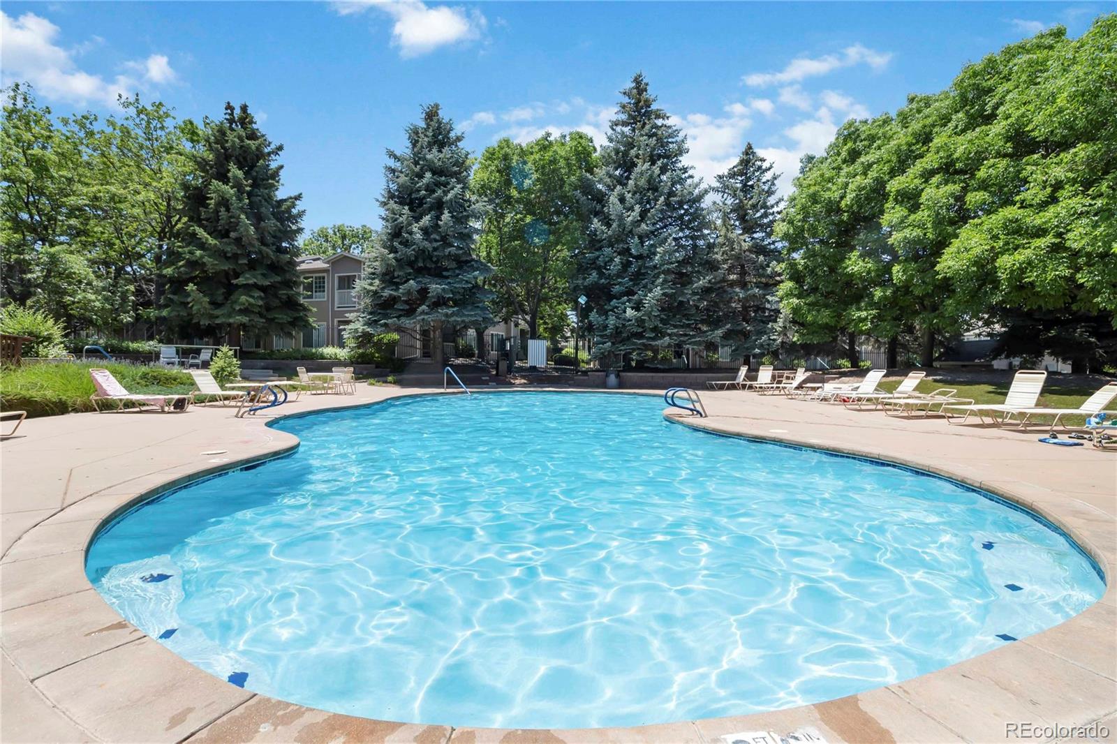 MLS Image #27 for 3825  canyon ranch road,highlands ranch, Colorado