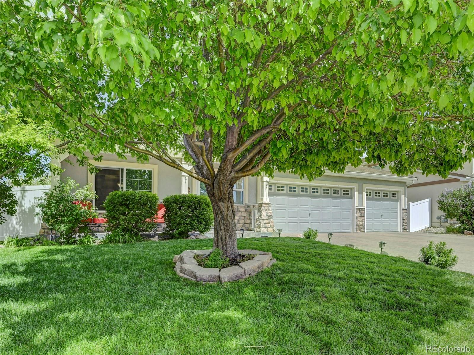 MLS Image #0 for 7740  candlelight lane,fountain, Colorado