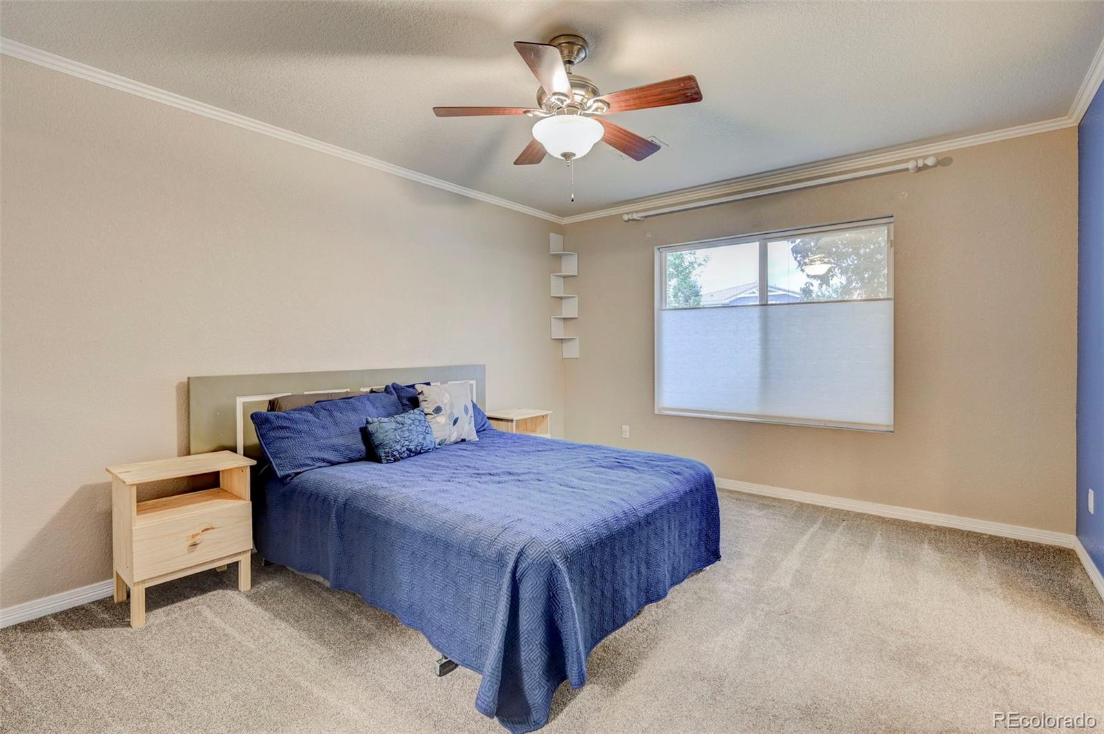 MLS Image #22 for 7740  candlelight lane,fountain, Colorado