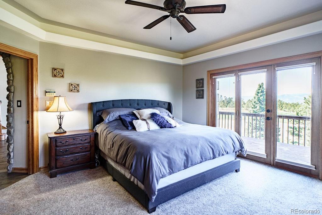 MLS Image #5 for 1120  brenthaven court,monument, Colorado