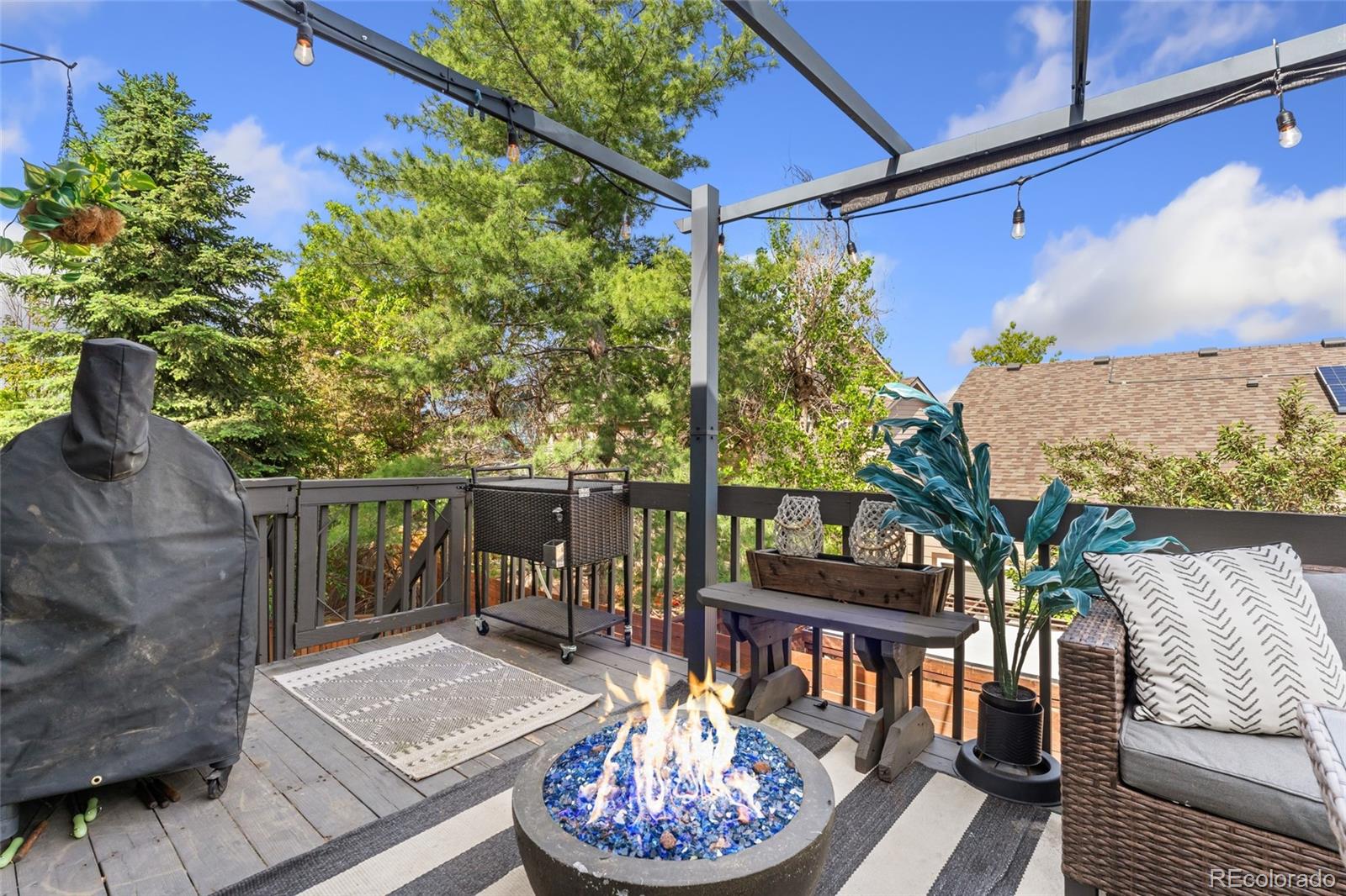 MLS Image #33 for 9821  bucknell court,highlands ranch, Colorado