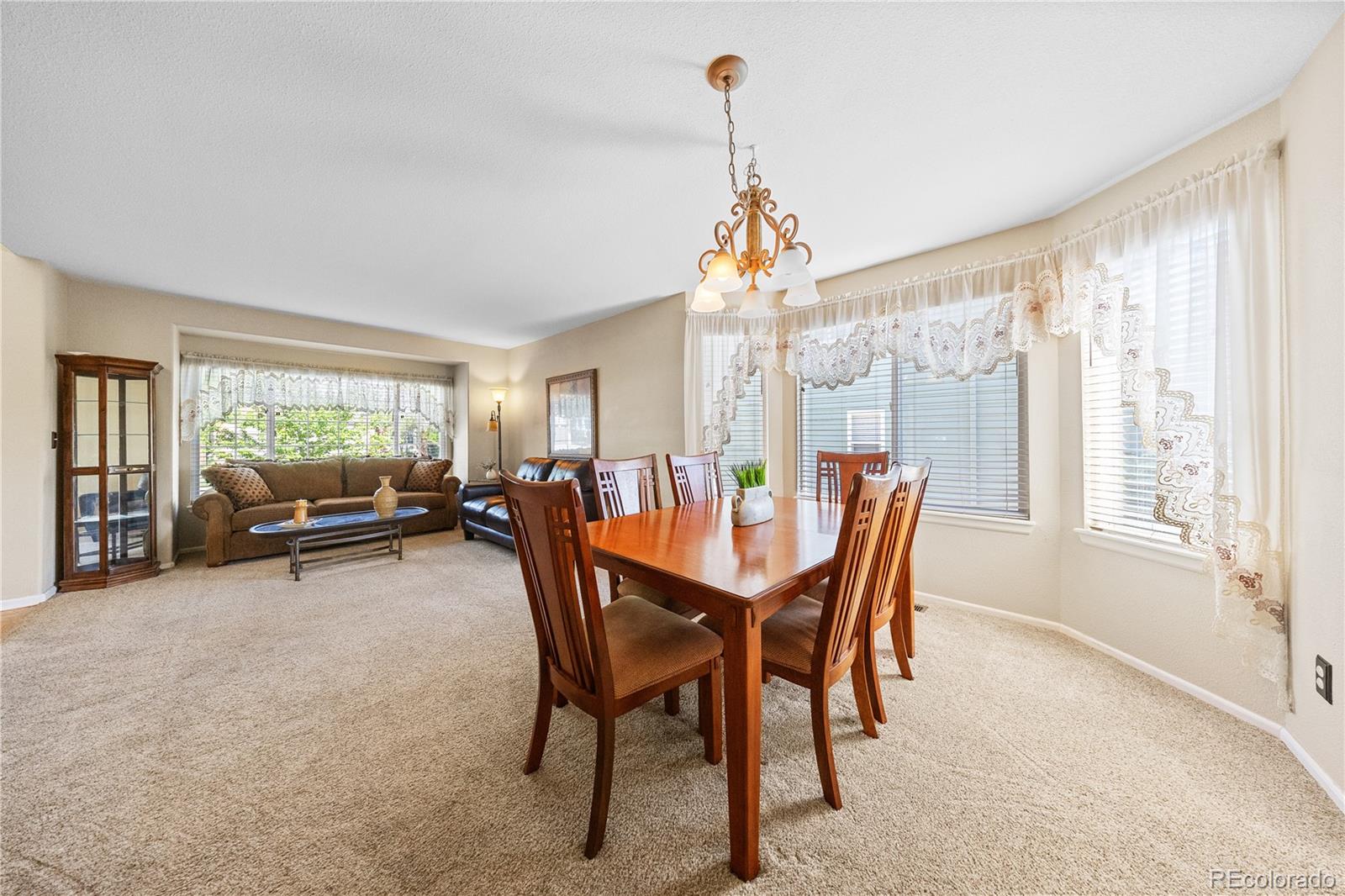 MLS Image #36 for 9948  silver maple road,highlands ranch, Colorado