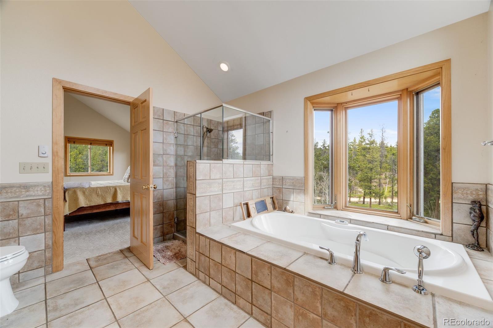 MLS Image #20 for 1002  county road 99 ,black hawk, Colorado