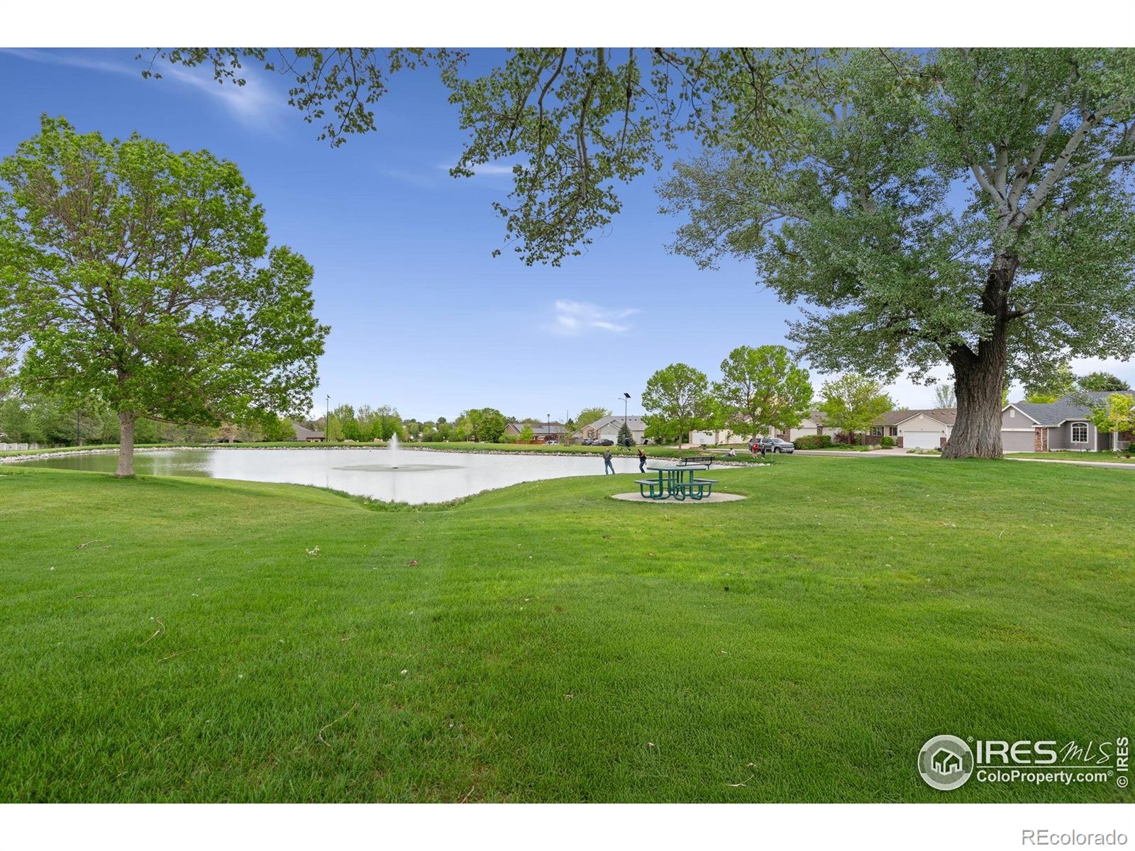 MLS Image #25 for 512  prairie clover way,severance, Colorado