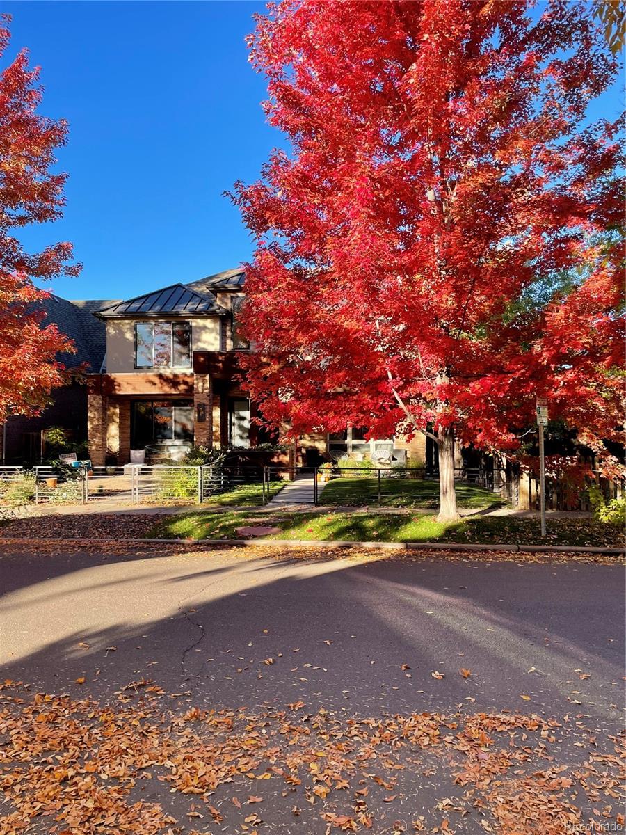 MLS Image #45 for 1511 s pennsylvania street,denver, Colorado