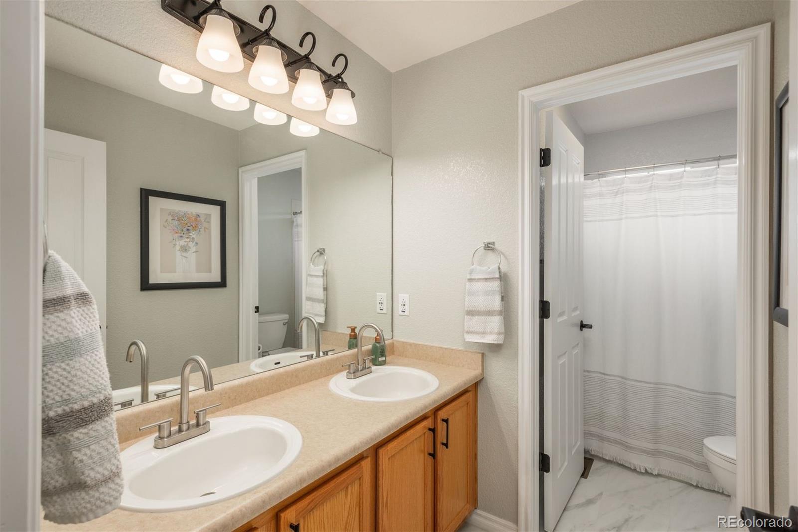 MLS Image #19 for 10696  riverbrook circle,highlands ranch, Colorado