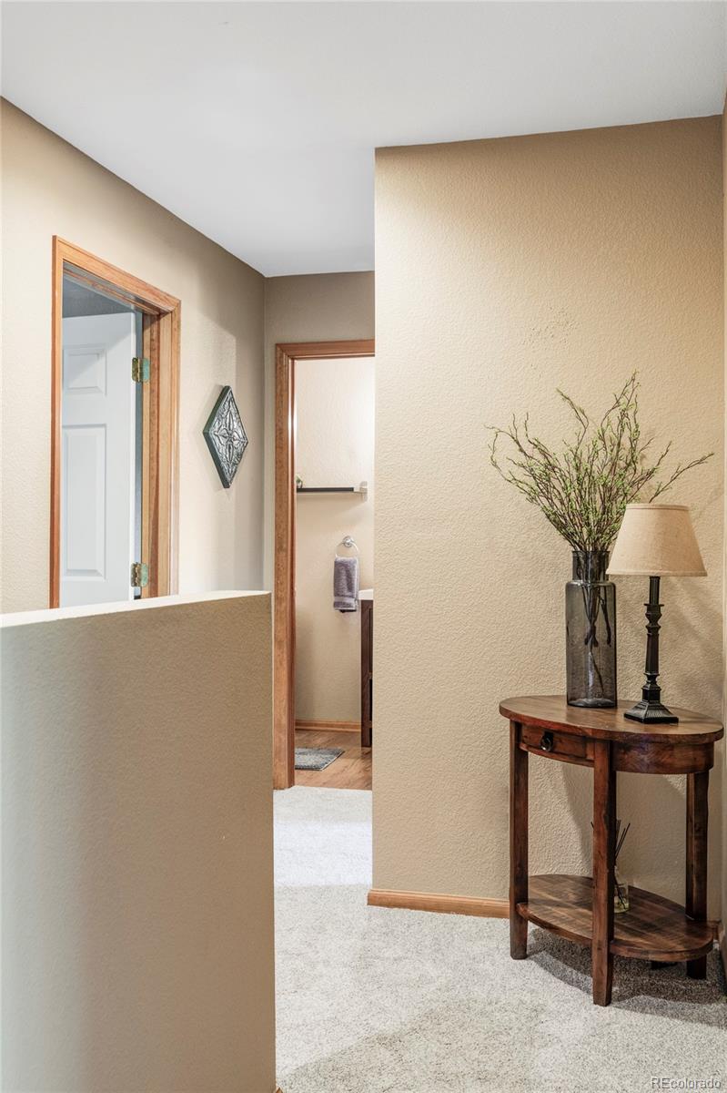 MLS Image #11 for 4619 s tabor way,morrison, Colorado