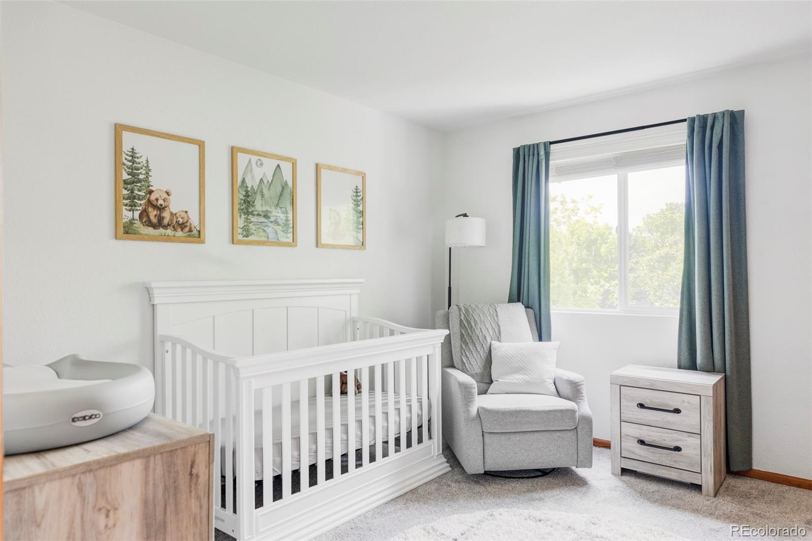 MLS Image #18 for 4619 s tabor way,morrison, Colorado
