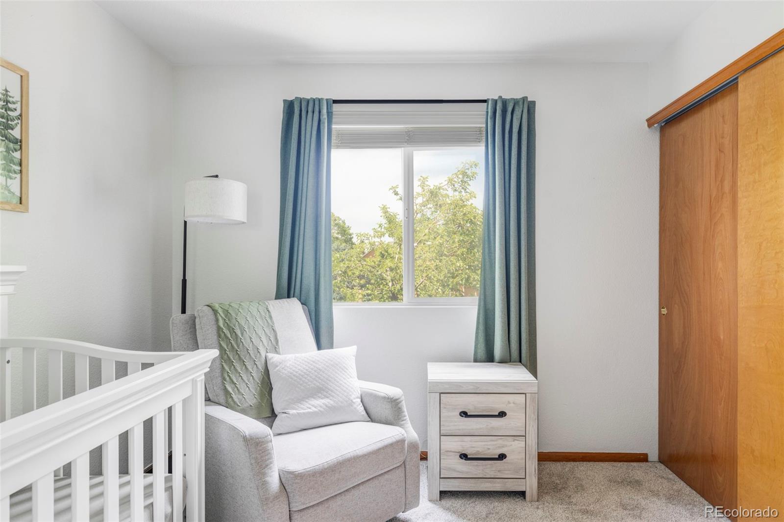 MLS Image #19 for 4619 s tabor way,morrison, Colorado