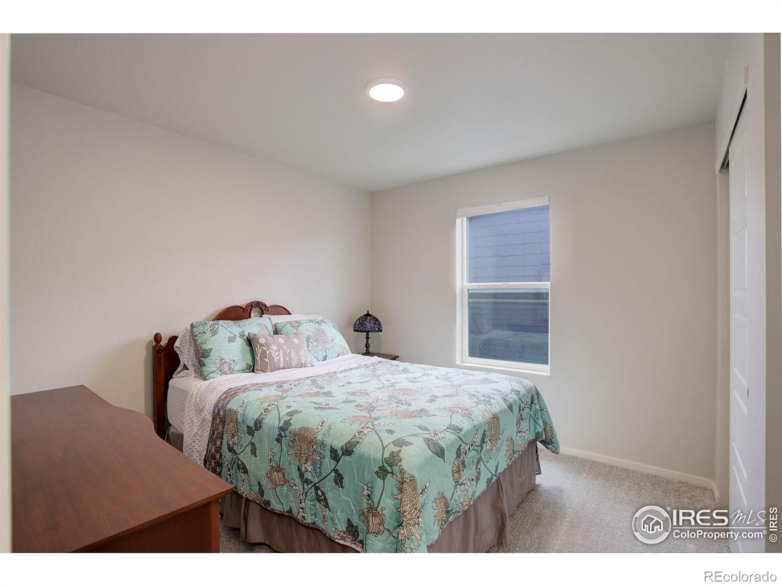 MLS Image #21 for 5282  ribault street,timnath, Colorado