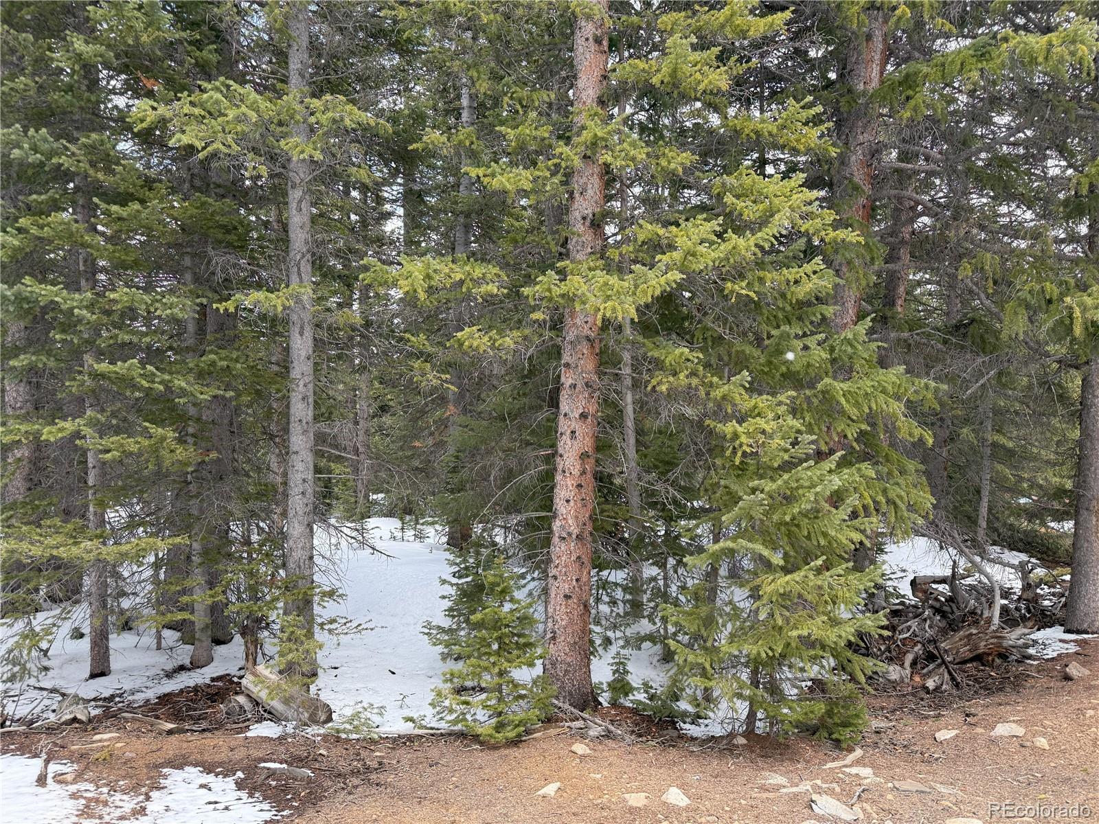 MLS Image #19 for 767  valley of the sun drive,fairplay, Colorado