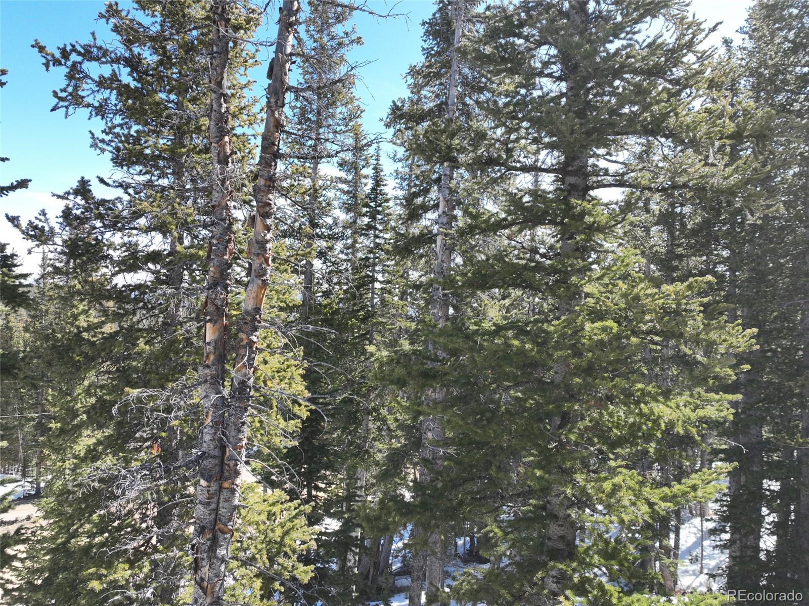 MLS Image #37 for 767  valley of the sun drive,fairplay, Colorado