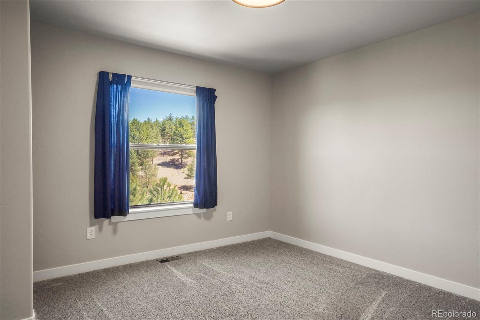MLS Image #16 for 364  phoebus drive,florissant, Colorado