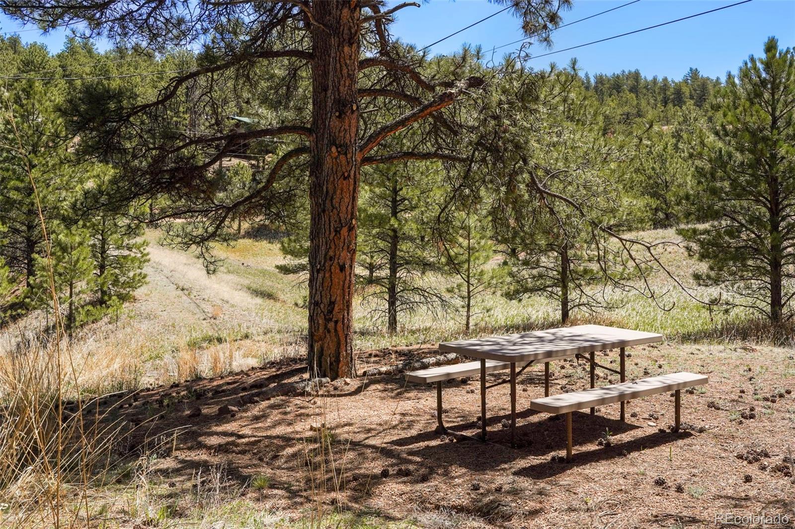 MLS Image #17 for 364  phoebus drive,florissant, Colorado
