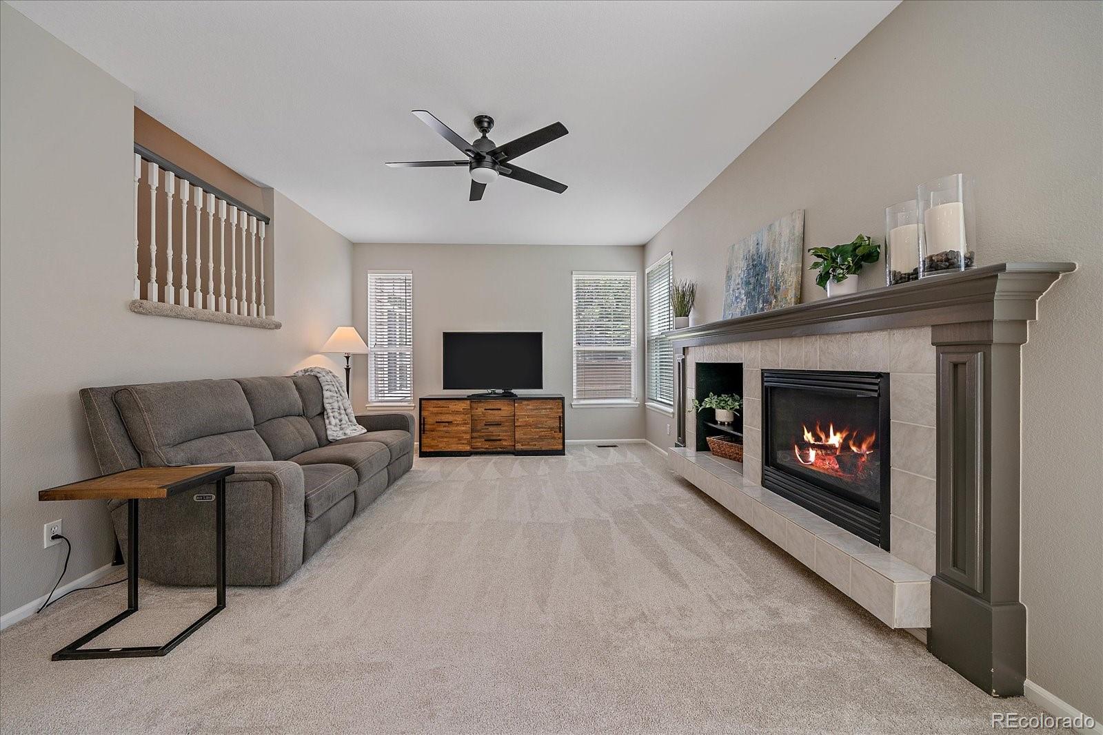 MLS Image #10 for 3860  mallard drive,highlands ranch, Colorado
