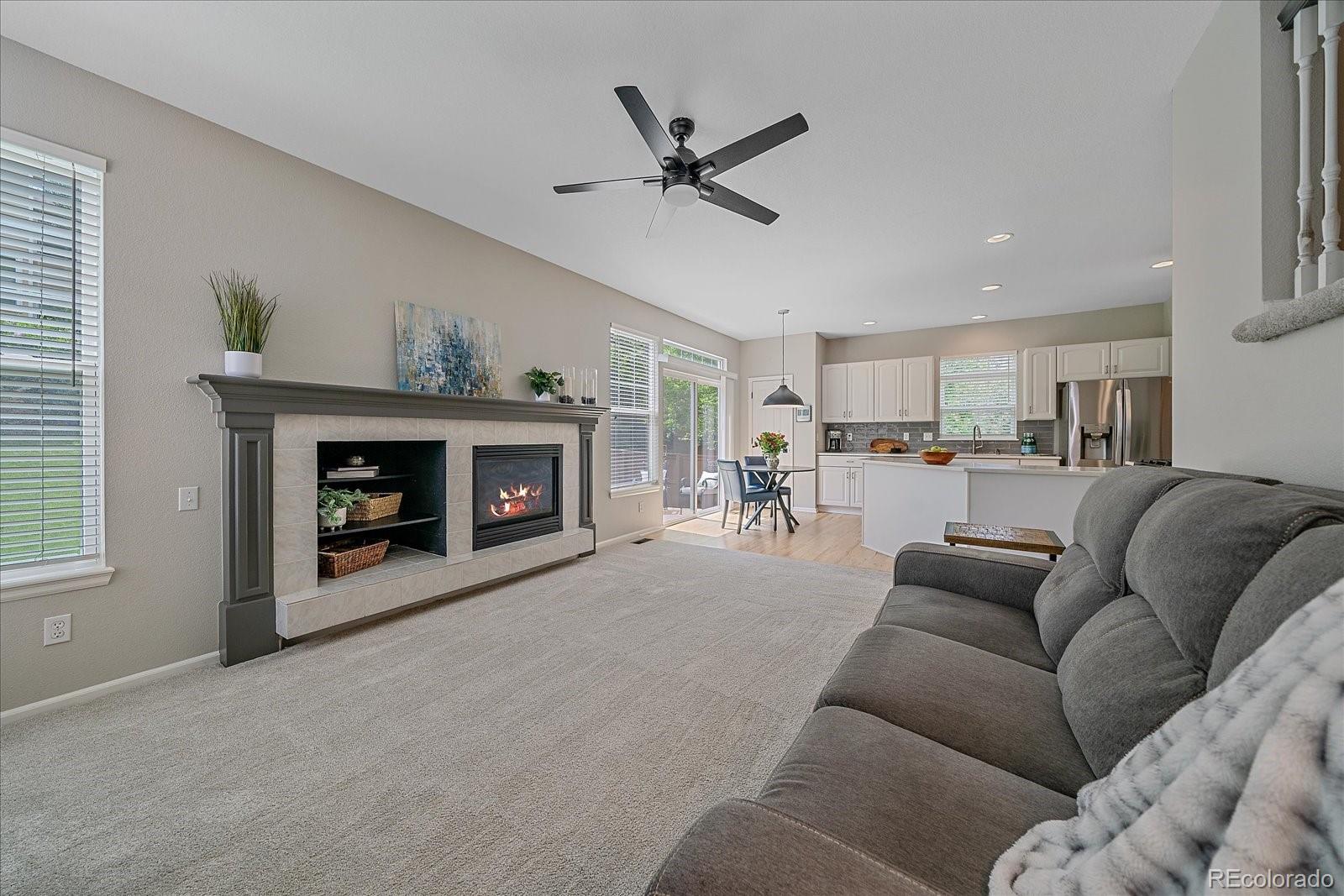 MLS Image #11 for 3860  mallard drive,highlands ranch, Colorado