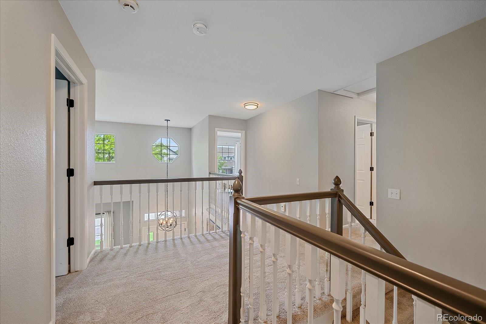 MLS Image #19 for 3860  mallard drive,highlands ranch, Colorado