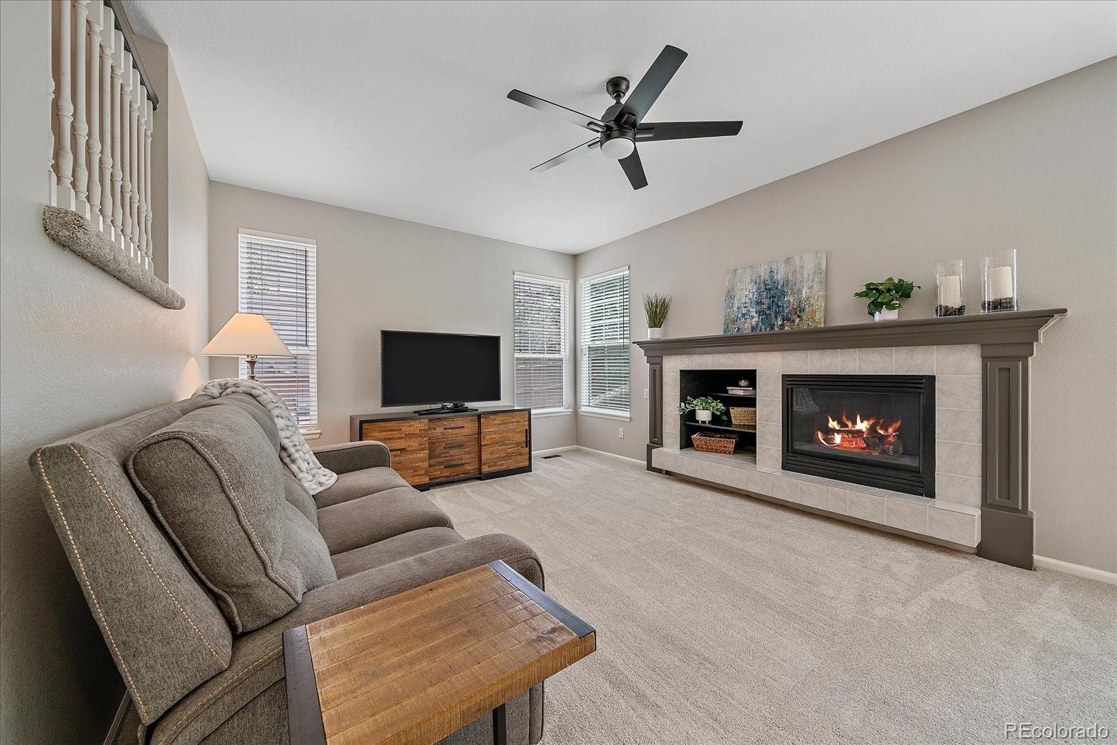 MLS Image #9 for 3860  mallard drive,highlands ranch, Colorado