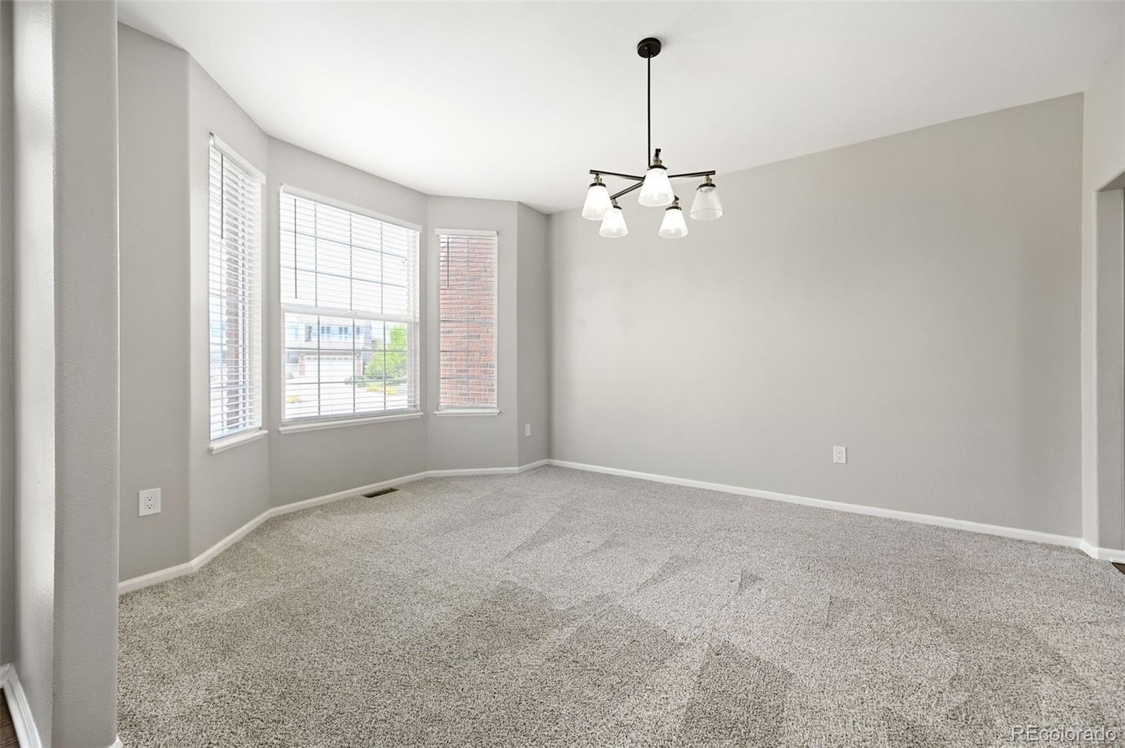 MLS Image #10 for 479  caprice court,colorado springs, Colorado