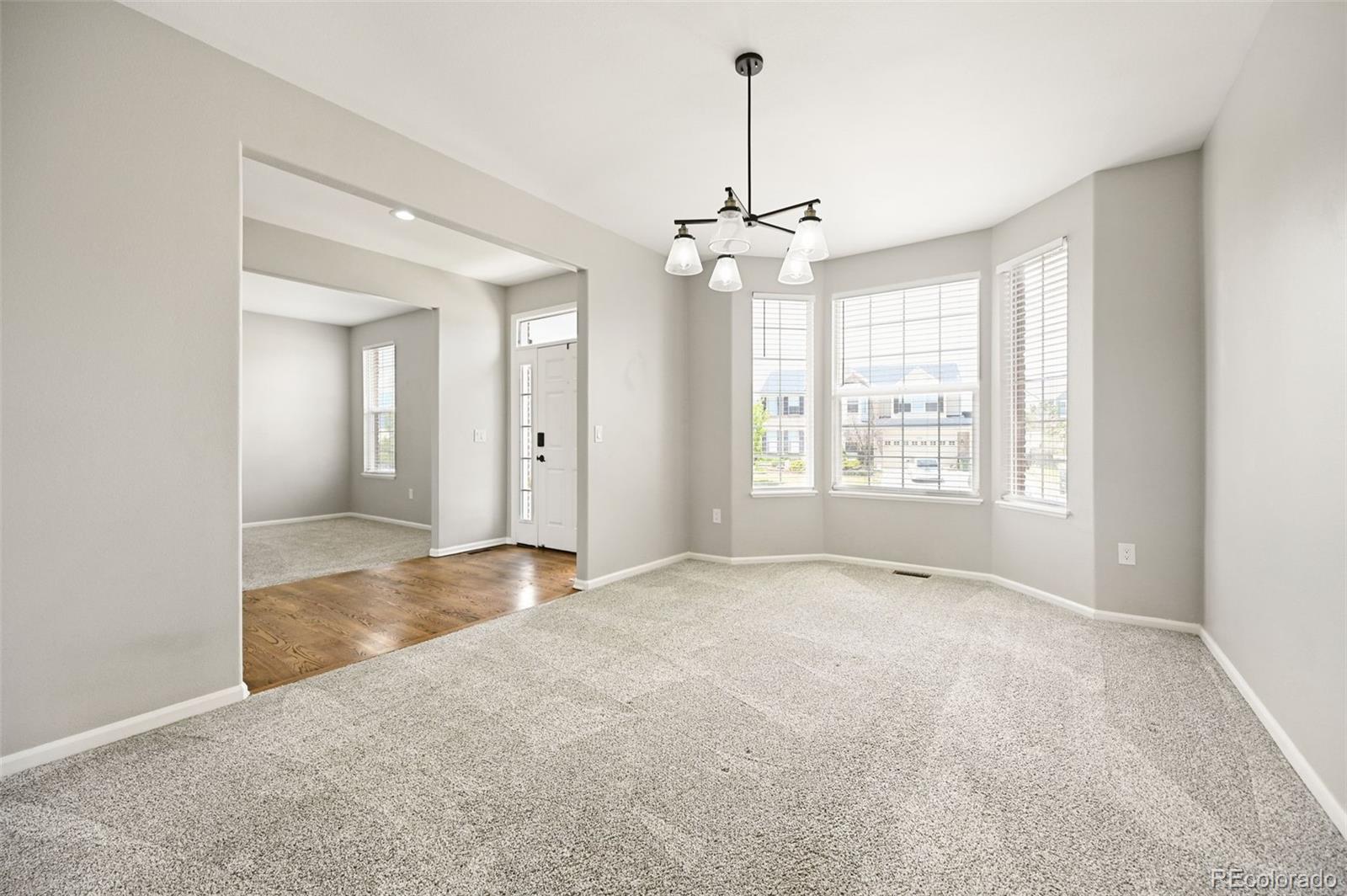 MLS Image #12 for 479  caprice court,colorado springs, Colorado