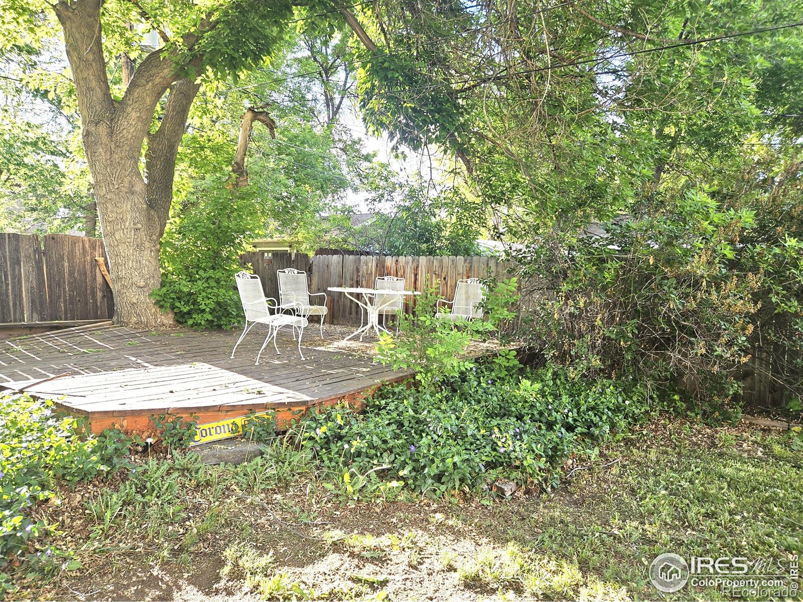 MLS Image #6 for 909  washington avenue,loveland, Colorado