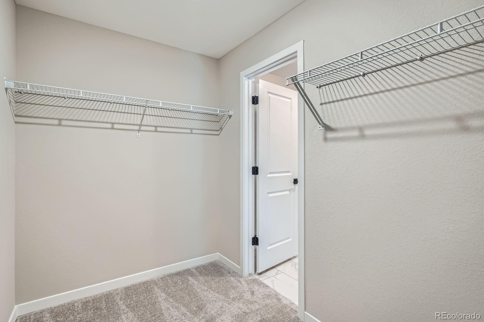 MLS Image #14 for 8321  mount kataka street,littleton, Colorado
