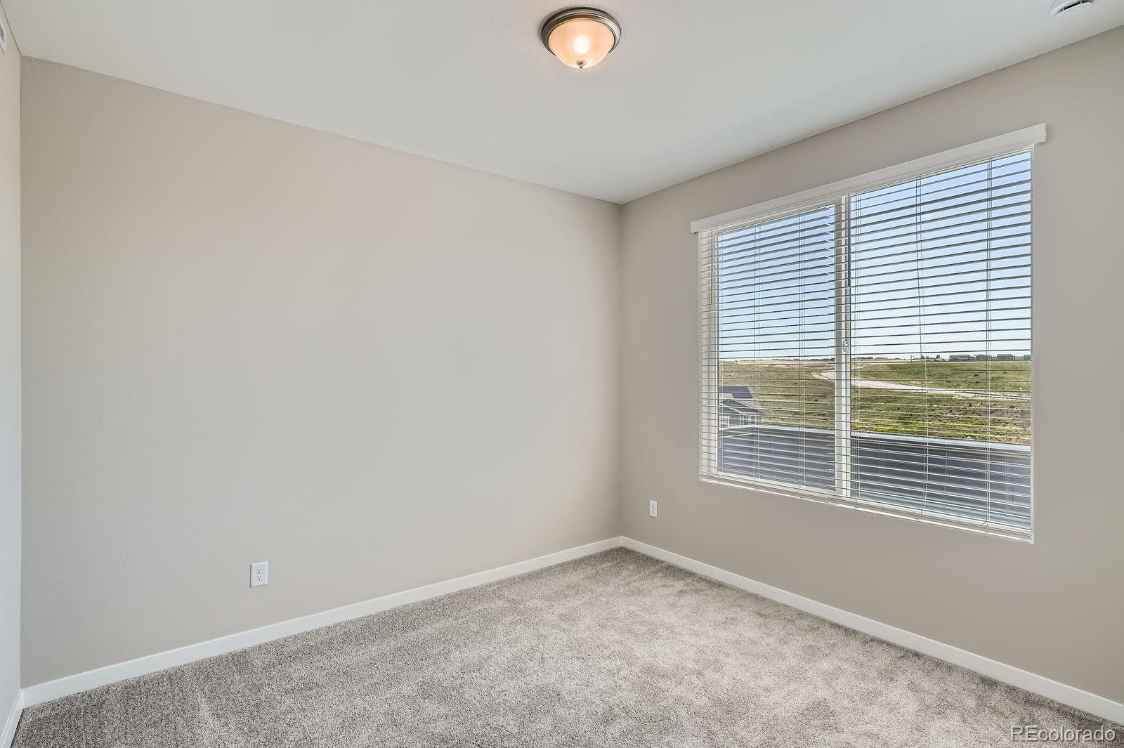 MLS Image #16 for 8321  mount kataka street,littleton, Colorado