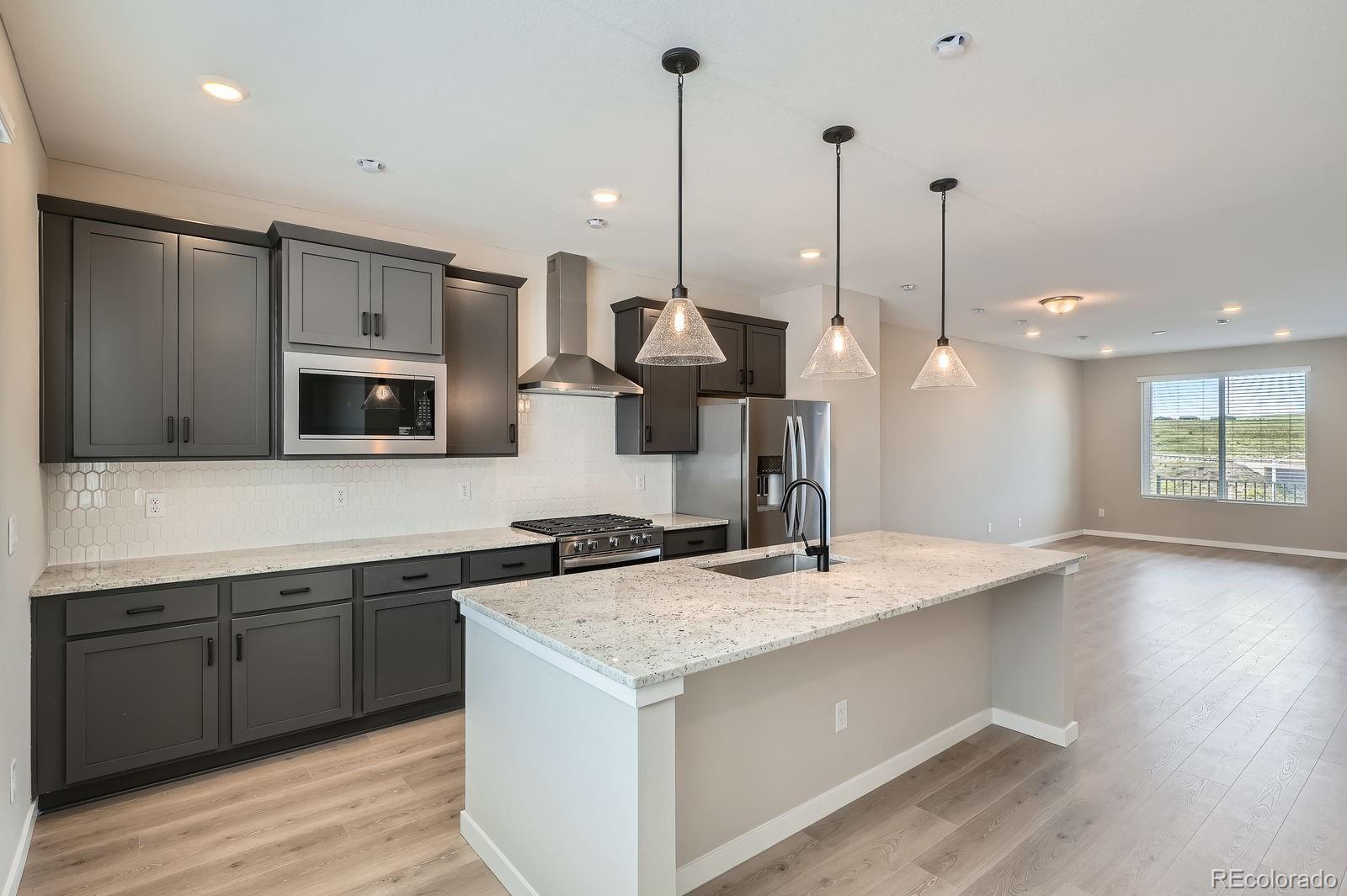 MLS Image #3 for 8321  mount kataka street,littleton, Colorado