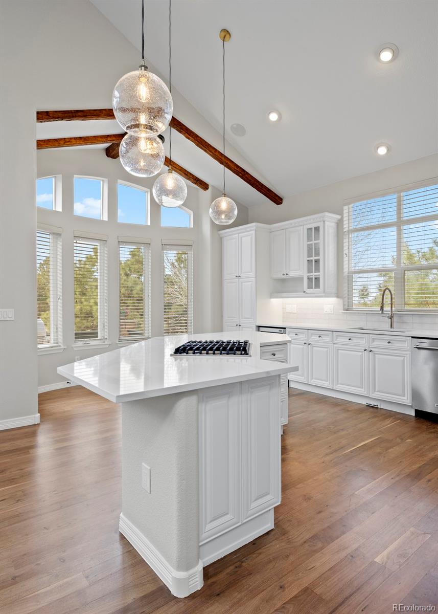 MLS Image #8 for 6047  vacquero circle,castle pines, Colorado