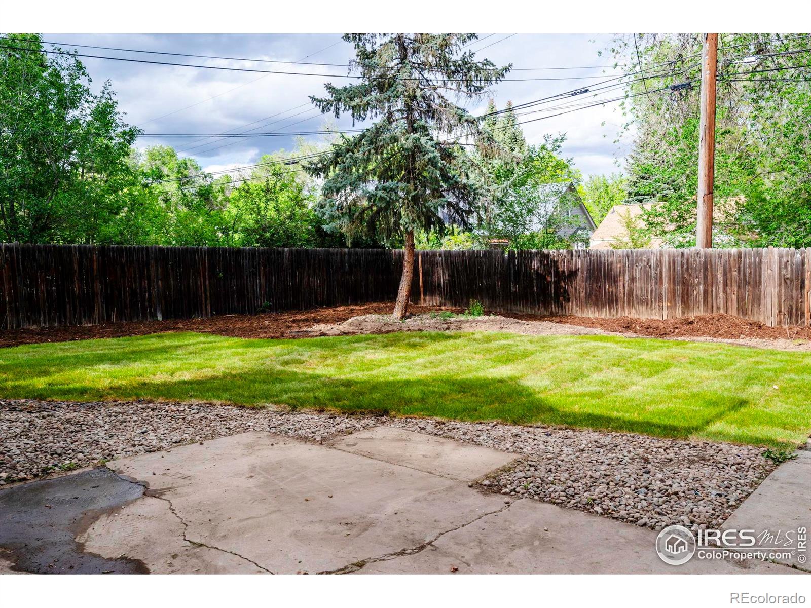 MLS Image #19 for 322  vivian street,longmont, Colorado