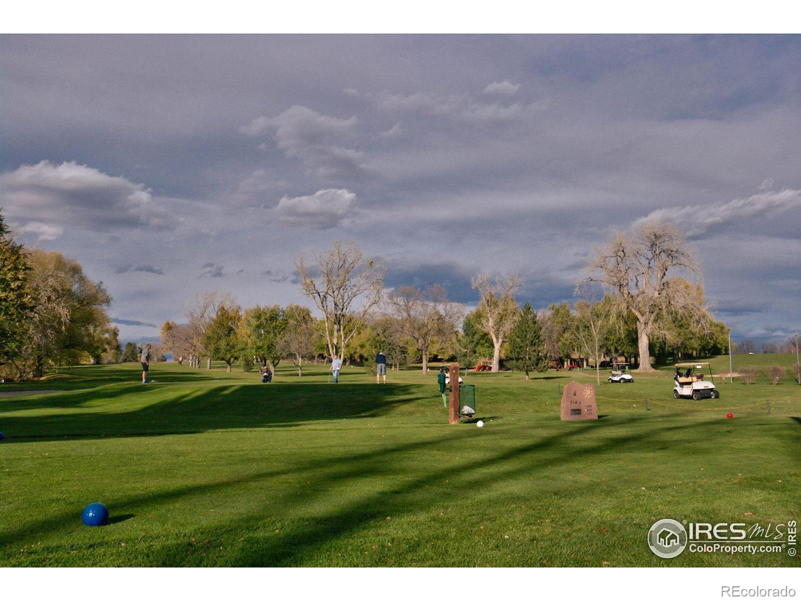 MLS Image #29 for 322  vivian street,longmont, Colorado