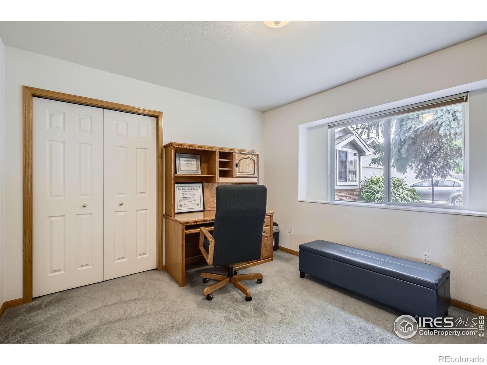 MLS Image #14 for 506  radiant drive,loveland, Colorado