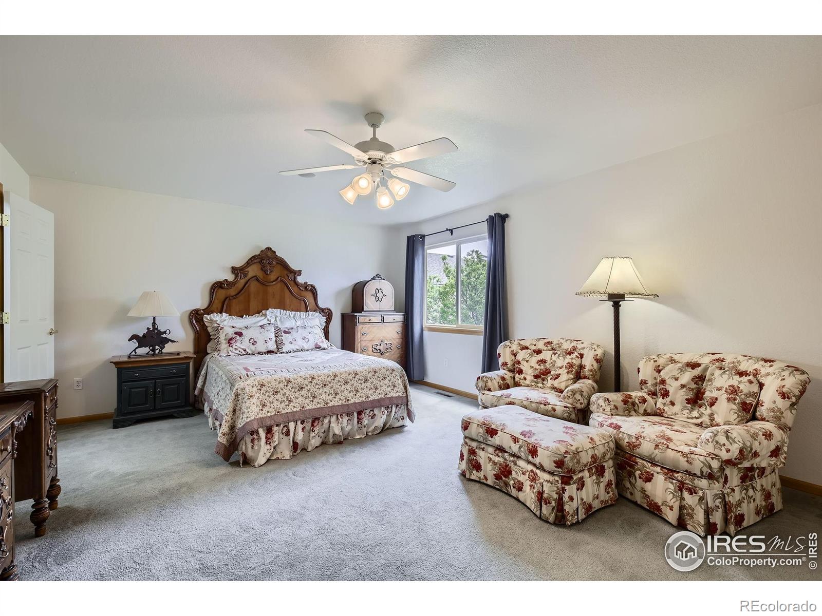 MLS Image #15 for 506  radiant drive,loveland, Colorado