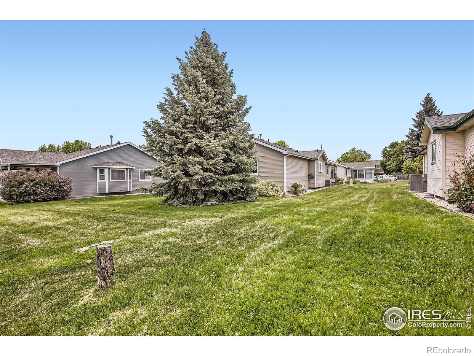 MLS Image #26 for 506  radiant drive,loveland, Colorado
