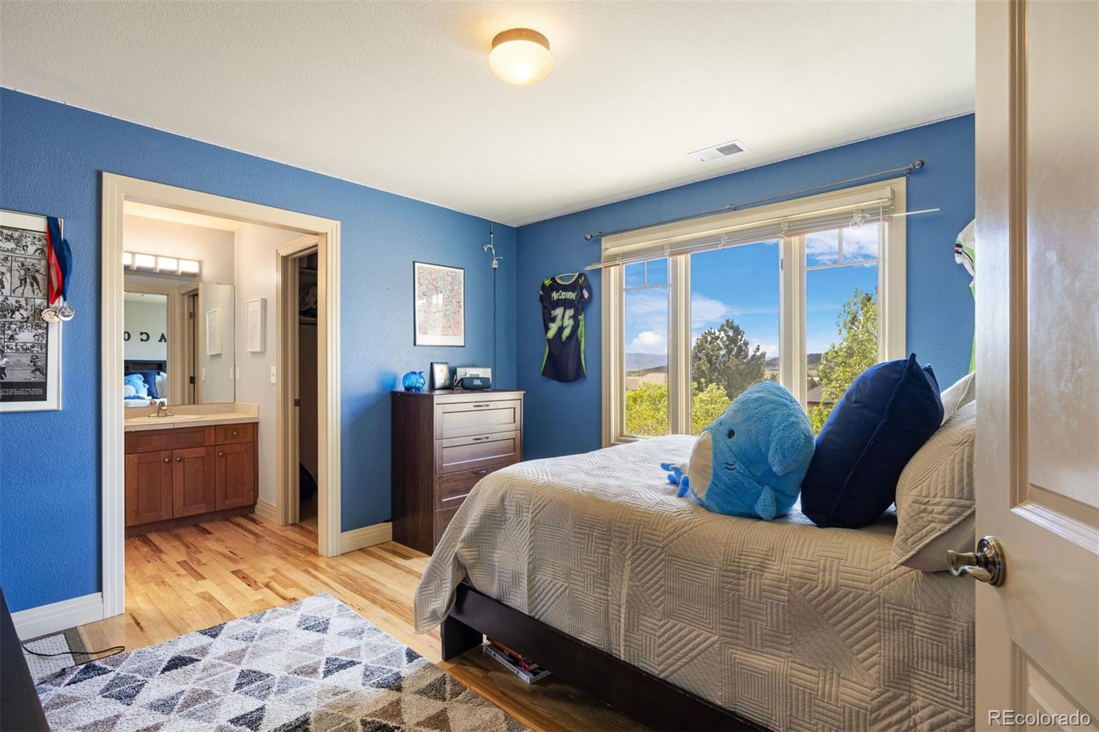 MLS Image #33 for 722  evening star drive,castle rock, Colorado